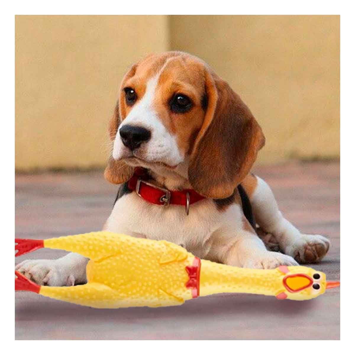 PACK2 DISENO DE POLLO CHILLON AMARILLO TALLA L PARA PERRO GRANDE Y+REGALO STICKER - 5