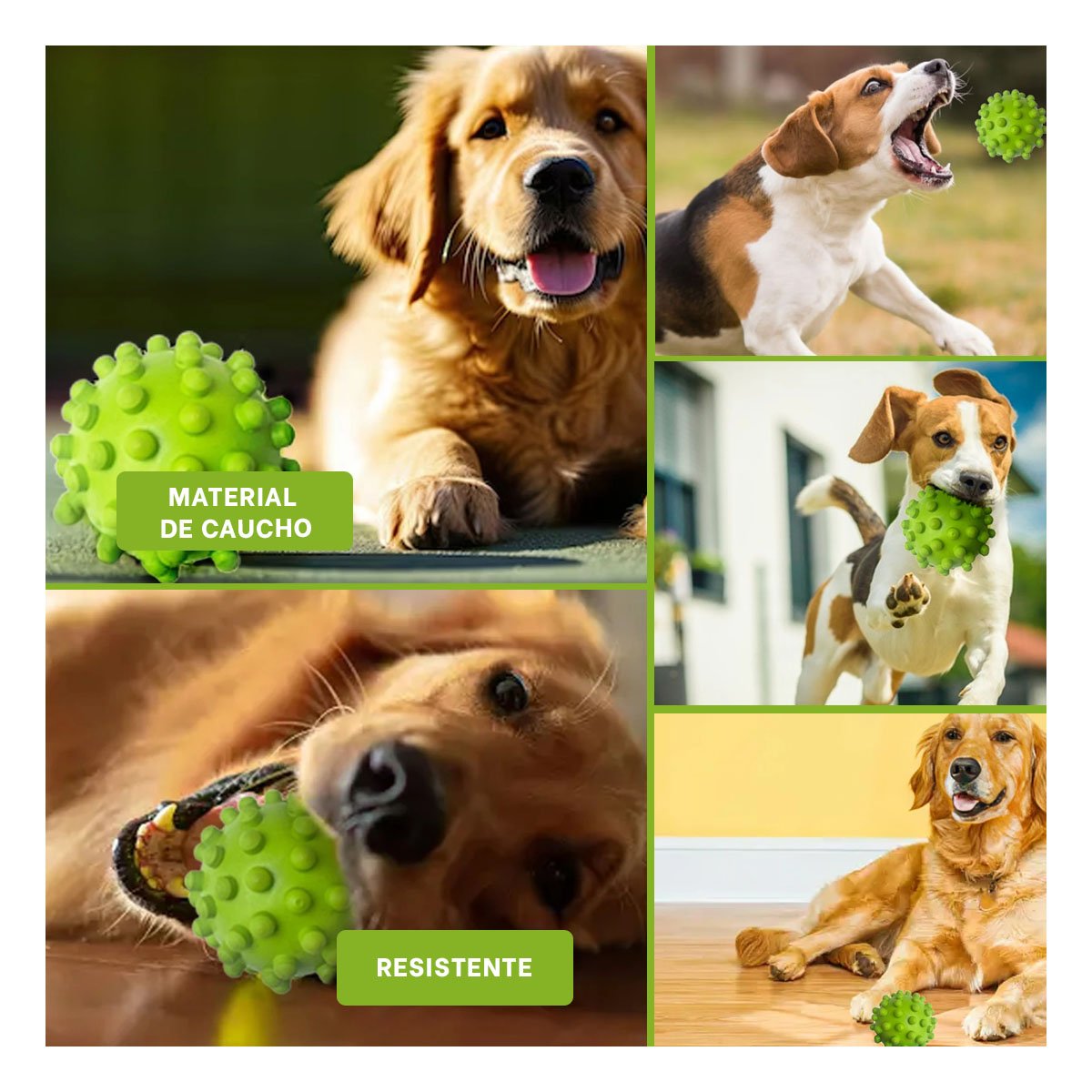 PACK6 ACCESORIO DE JUEGO DIARIO CAUCHO VERDE GRANDE PARA PERROS ACTIVOS Y+PAPEL REGALO - 3