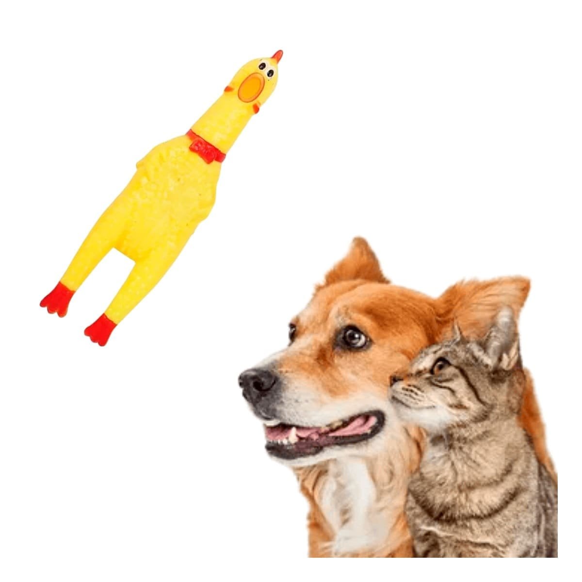PACK6 OPCION POLLO SONORO PARA PERRO TALLA S AMARILLO RESISTENTE DURABLE PET Y+REGALO STICKER - 2