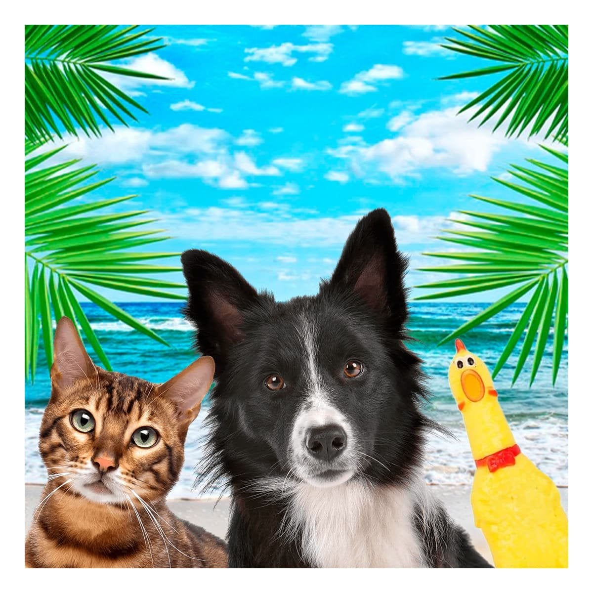 PACK2 VERSION POLLO SONORO PARA PERRO TALLA S AMARILLO RESISTENTE DURABLE PET Y+REGALO STICKER - 5