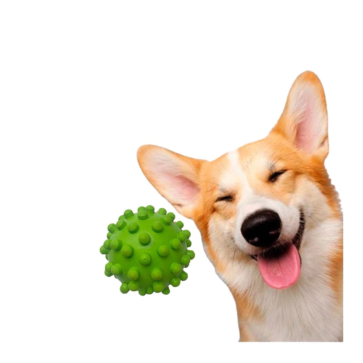 PACK6 PELOTA DE CAUCHO FLEXIBLE VERDE PARA MASCOTA MUYRESISTENTES Y+REGALO STICKER - 2