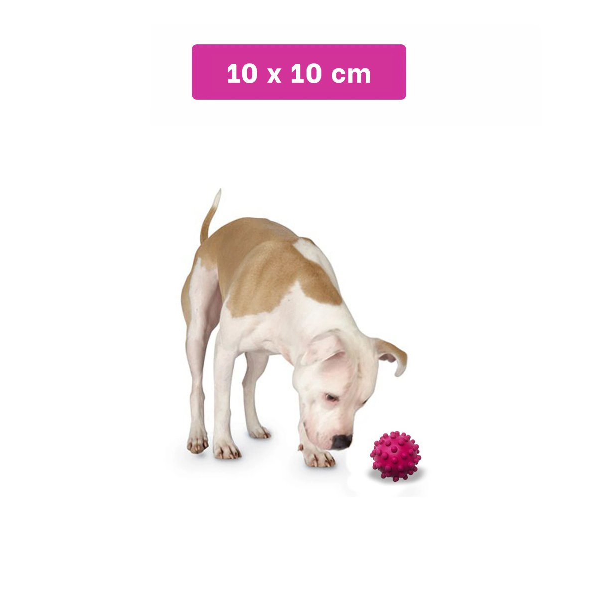 PACK2 ACCESORIO CANINO CAUCHO ROSA GRANDE CON FORMA CHIRIMOLLA Y DISENO PRACTICO Y+PAPEL REGALO - 4