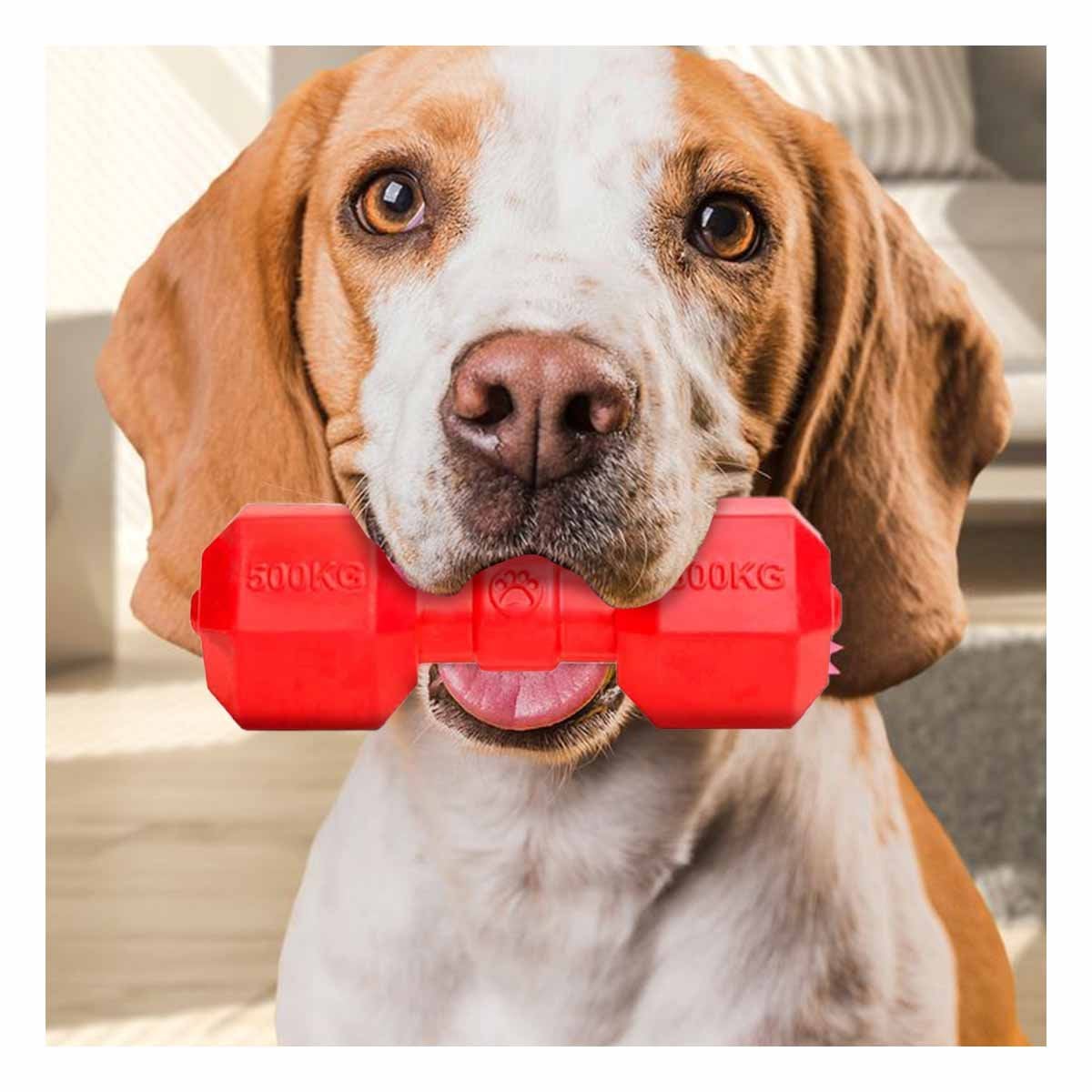 PACK2 ARTICULO INTERACTIVO CAUCHO PESAS ROJO PARA PERRO Y+PAPEL REGALO - 5