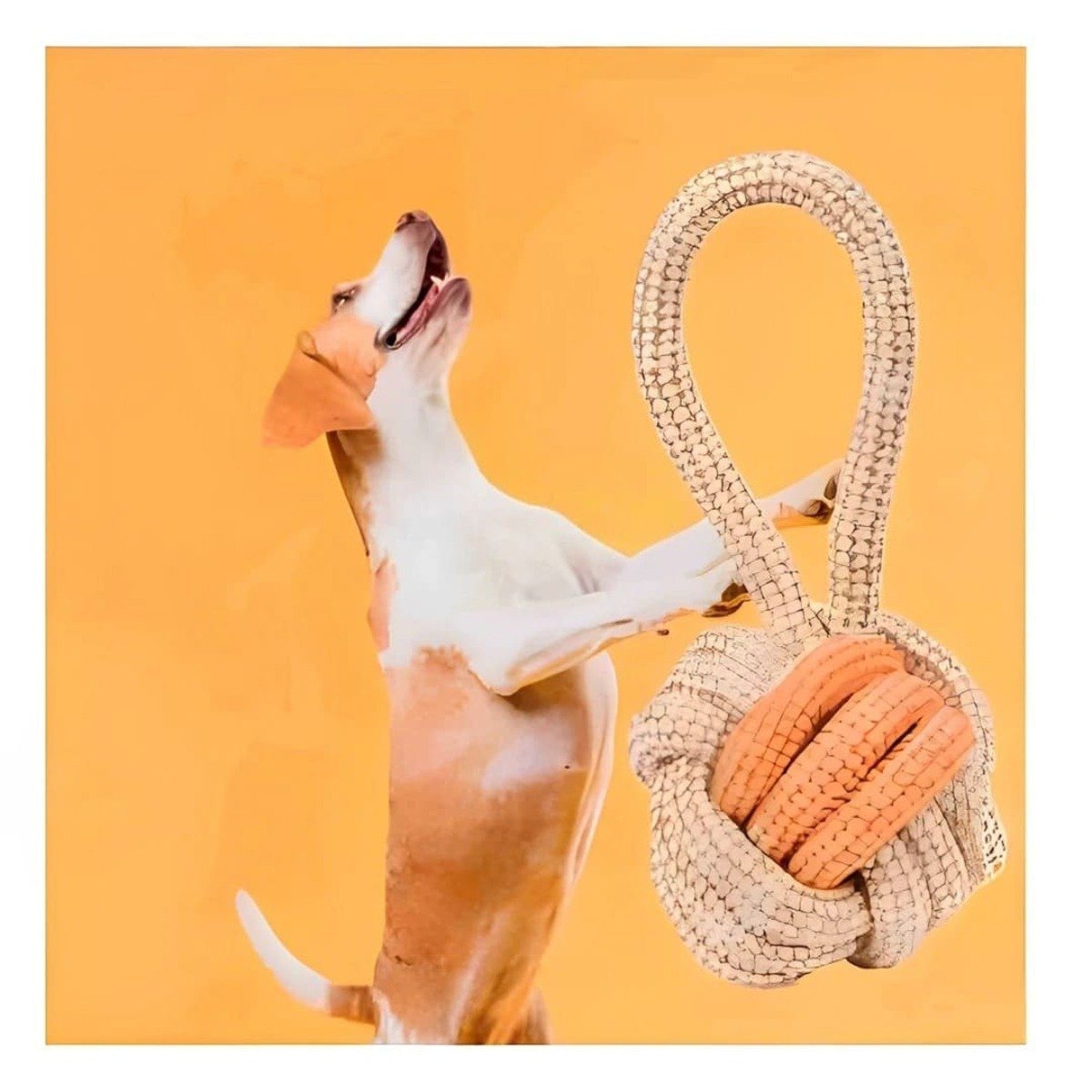 PACK4 TEXTIL SOGA CON PELOTA MOSTAZA PARA PERRO ACTIVO Y DIVERSION EN CASA Y+PAPEL REGALO - 5