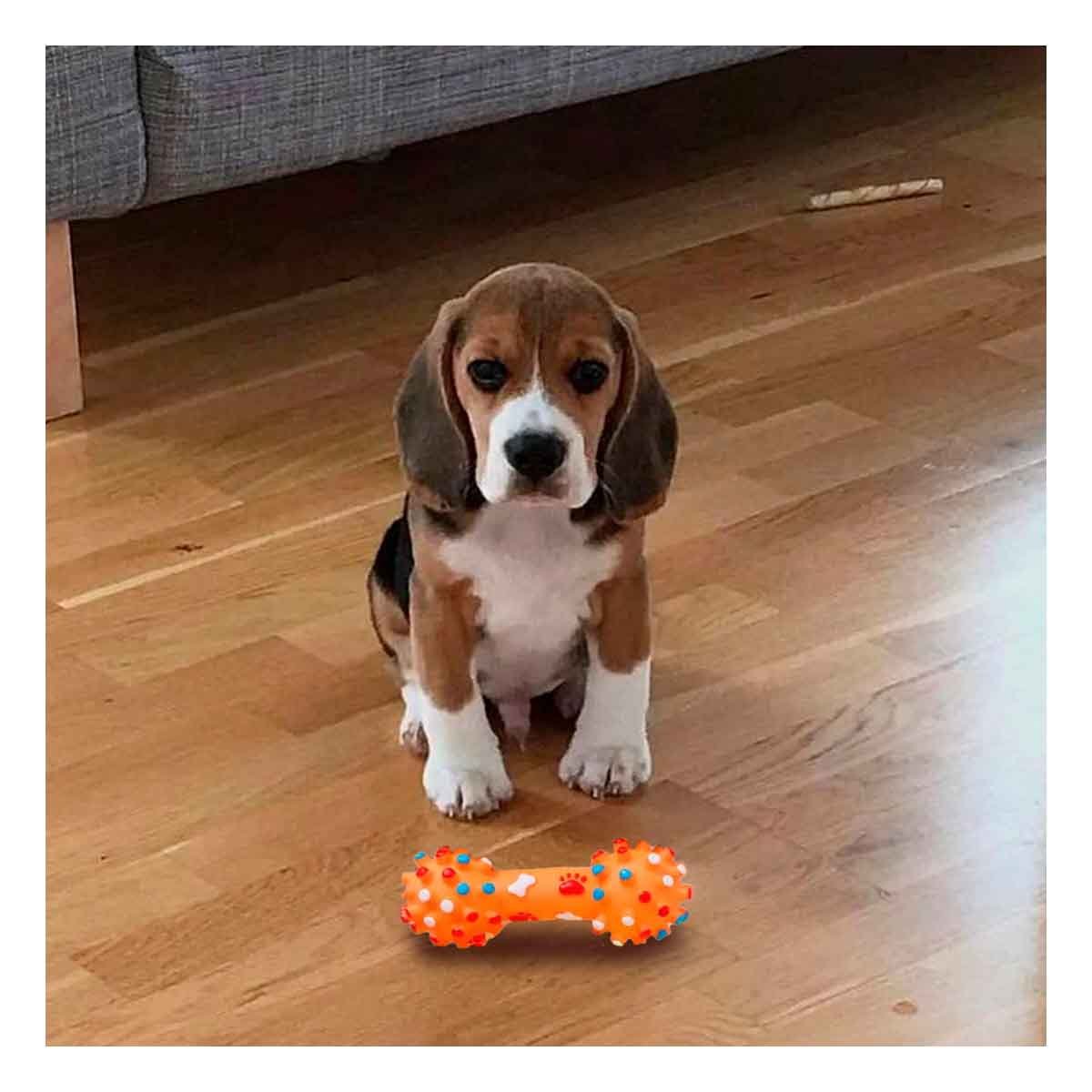 PACK6 ACCESORIO DE HUESO PLASTICO CON PUNTOS PARA PERRO Y+REGALO STICKER - 3
