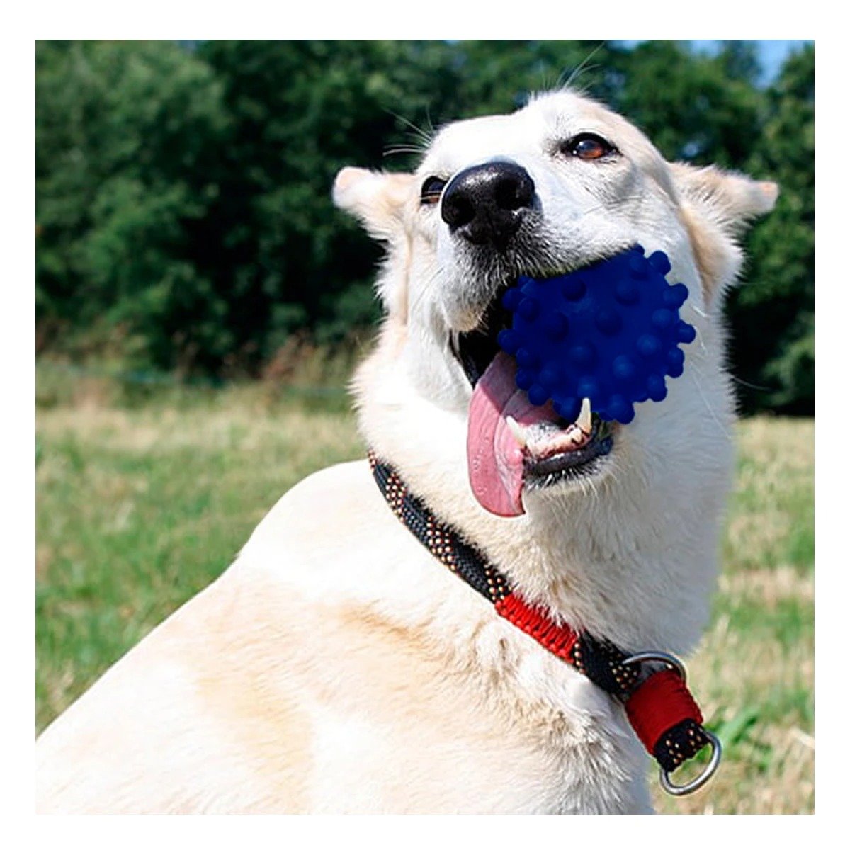 PACK6 PELOTA DE CAUCHO AZUL MEDIANA CON RELIEVE PARA MAYOR ENTRETENIMIENTO Y+REGALO STICKER - 5