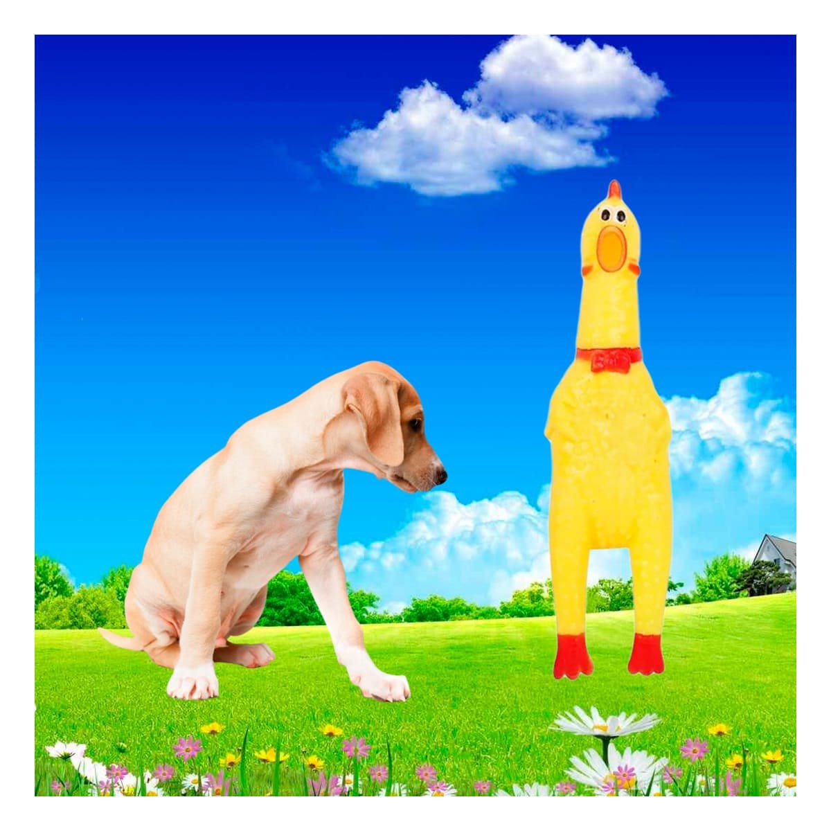 PACK4 LINEA POLLO SONORO PARA PERRO TALLA S AMARILLO RESISTENTE DURADERO PET - 5