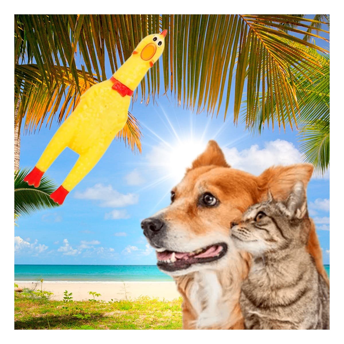 PACK2 MODELO POLLO SONORO PARA PERRO TALLA S AMARILLO RESISTENTE DURADERO PET Y+PAPEL REGALO - 2
