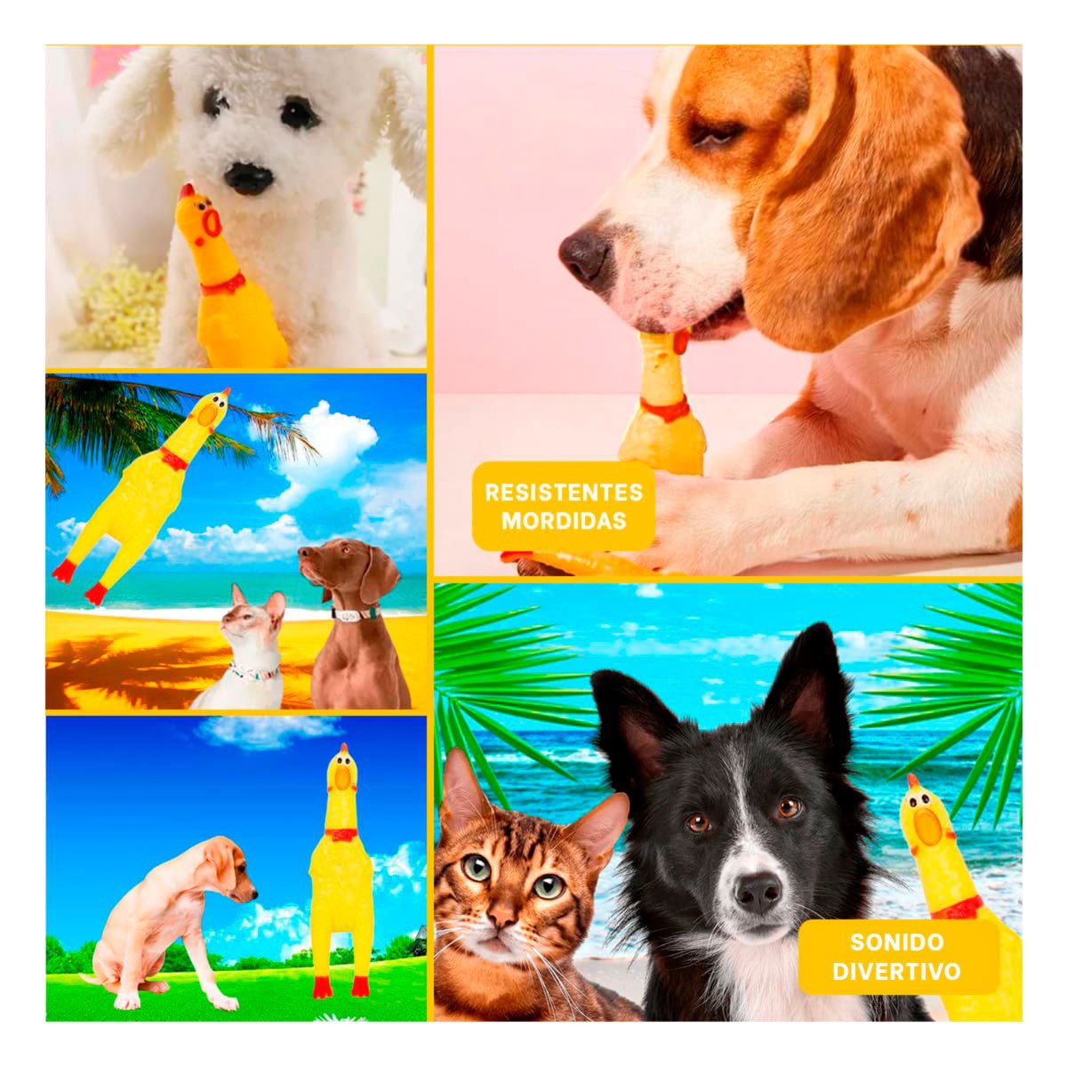 PACK2 MODELO POLLO SONORO PARA PERRO TALLA S AMARILLO RESISTENTE DURADERO PET Y+PAPEL REGALO - 3