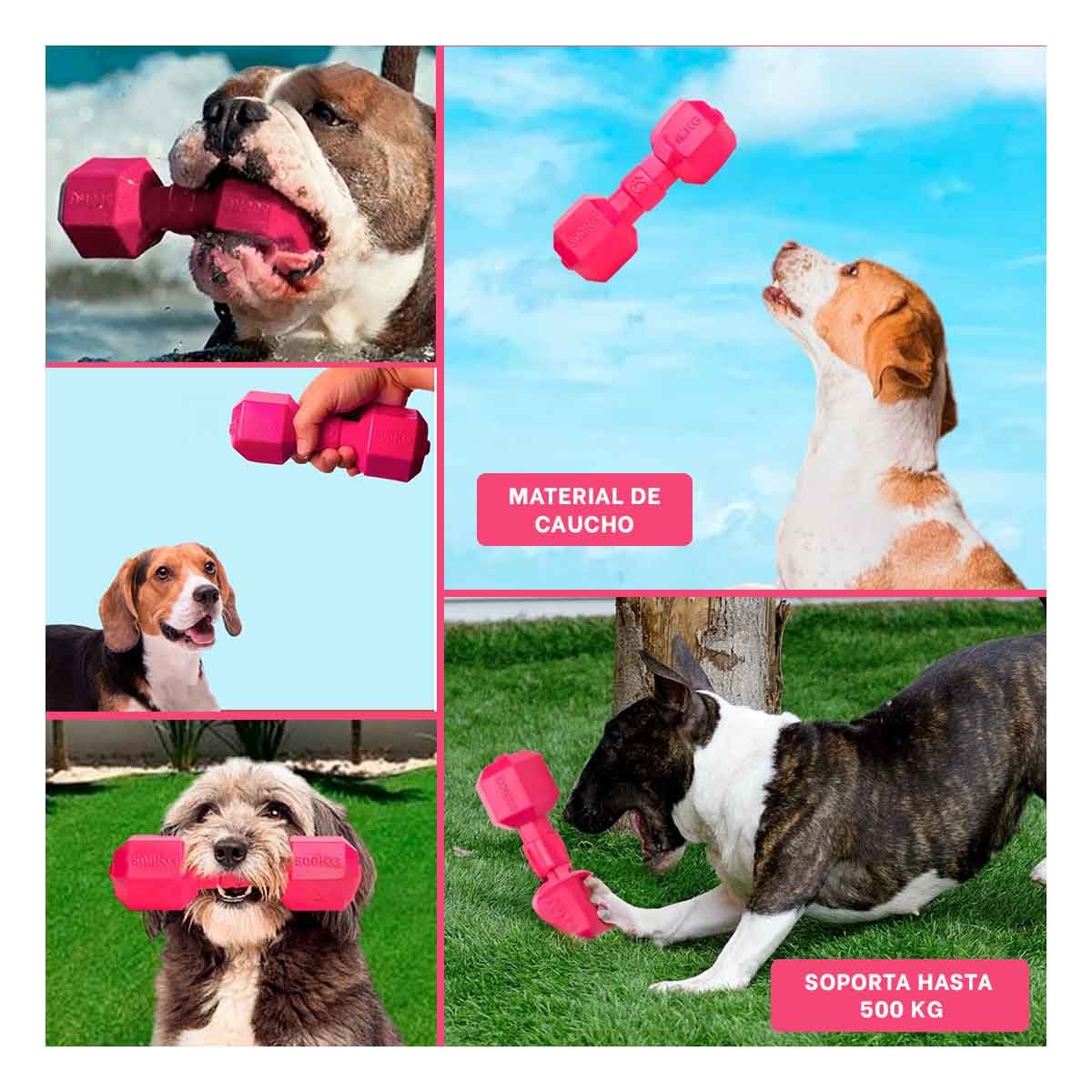 PACK2 ARTICULO DURADERO DE CAUCHO PESAS ROSADO PARA MASCOTA Y+PAPEL REGALO - 3