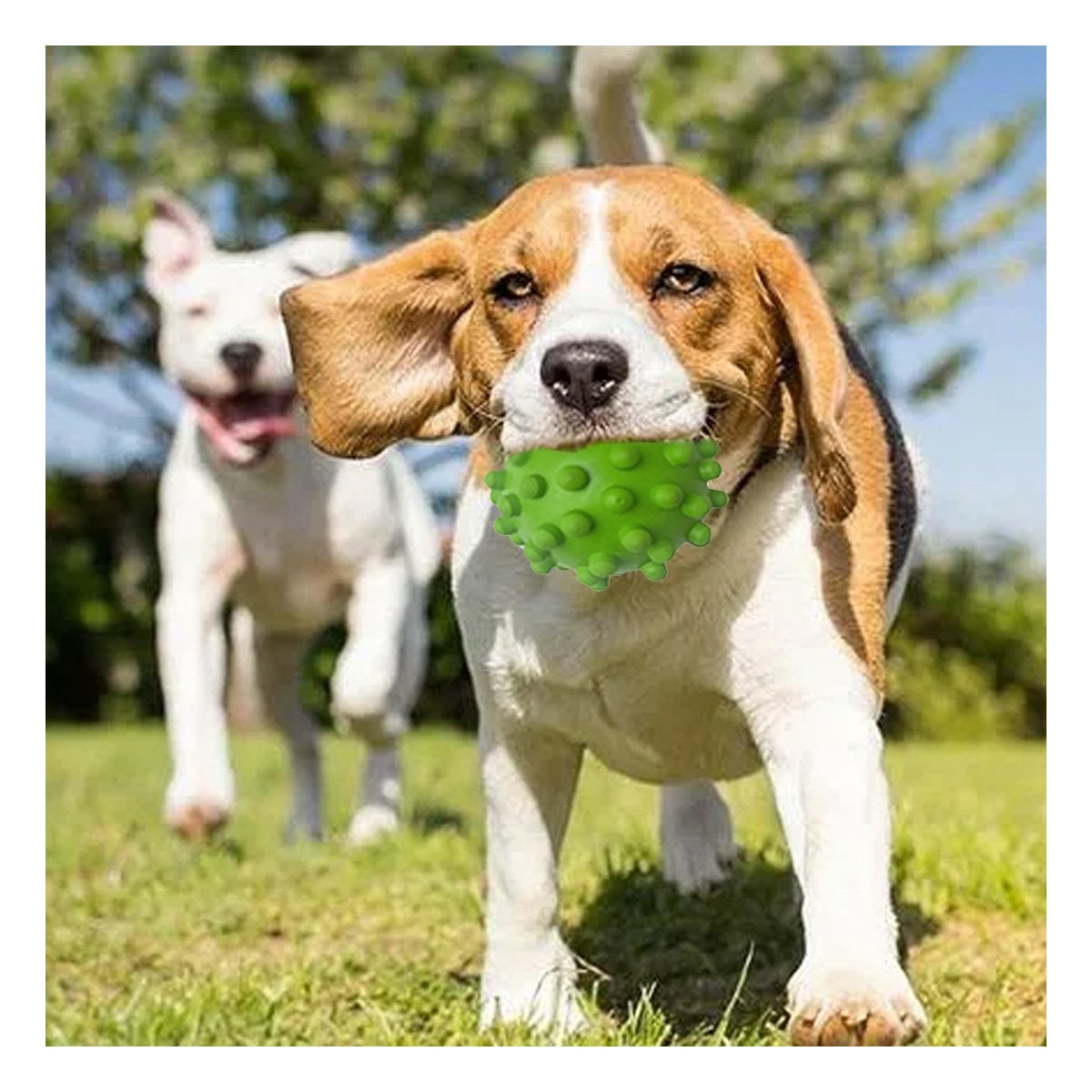 PACK6 ACCESORIO DE CAUCHO REFORZADO VERDE PARA MASCOTA MUYRESISTENTES Y DURADERO PRO - 5