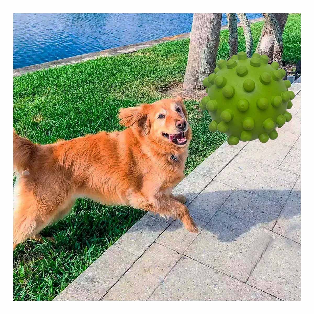 PACK4 PELOTA DE CAUCHO REFORZADO VERDE PARA PERRO MUYRESISTENTES - 3