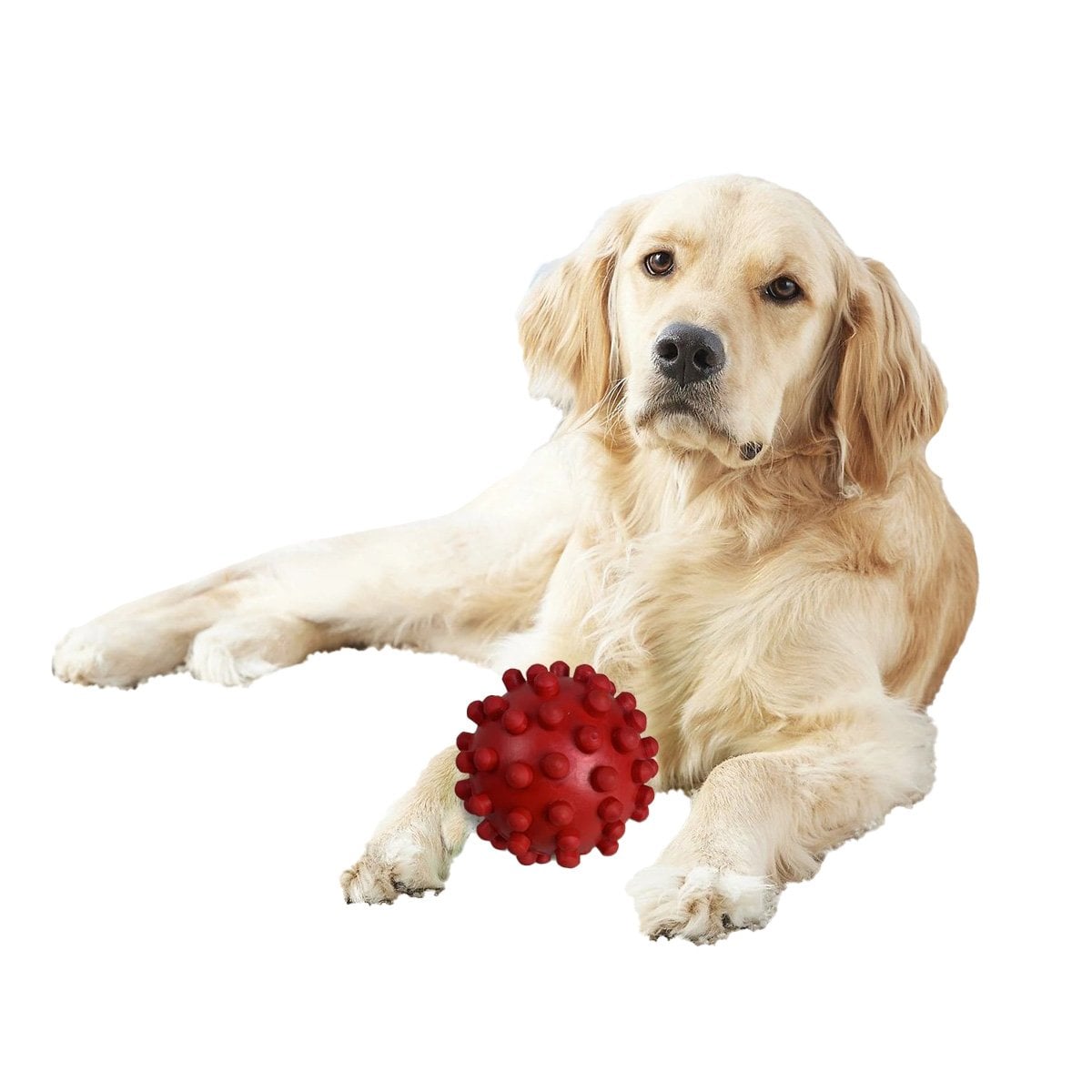PACK6 PELOTA DE CAUCHO ROJO GRANDE CON RELIEVE PARA MAYOR ENTRETENIMIENTO Y+REGALO STICKER - 2