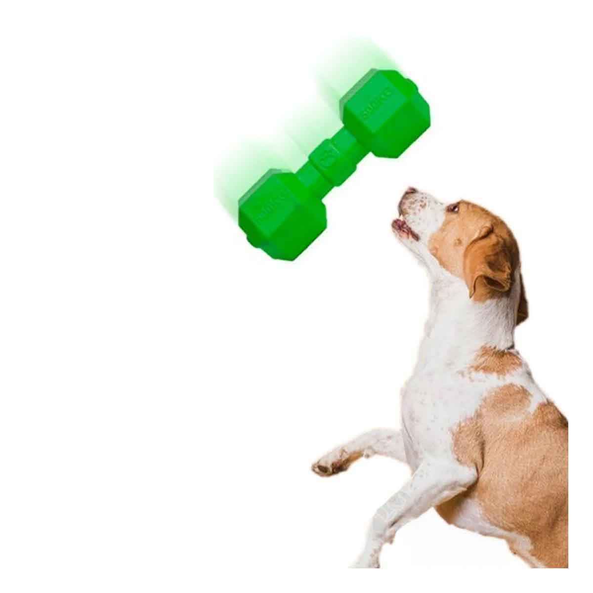PACK6 FORMATO DE CAUCHO PESAS PARA PERRO VERDE SEGURO Y FIRME PROTECTOR Y+REGALO STICKER - 2