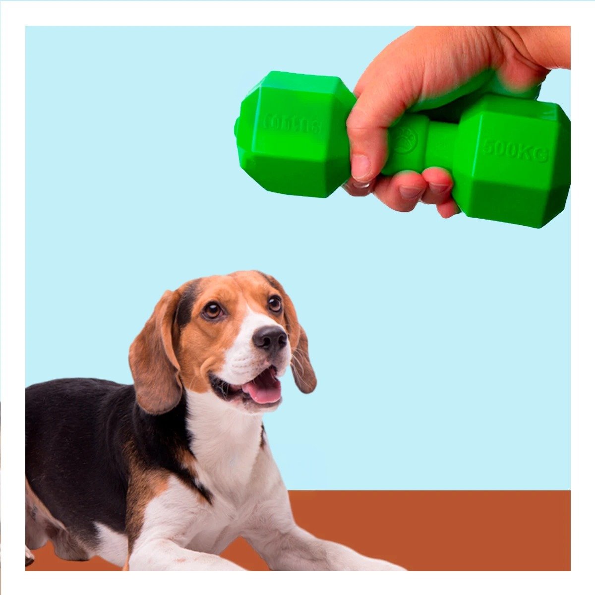PACK6 FORMATO DE CAUCHO PESAS PARA PERRO VERDE SEGURO Y FIRME PROTECTOR Y+REGALO STICKER - 5
