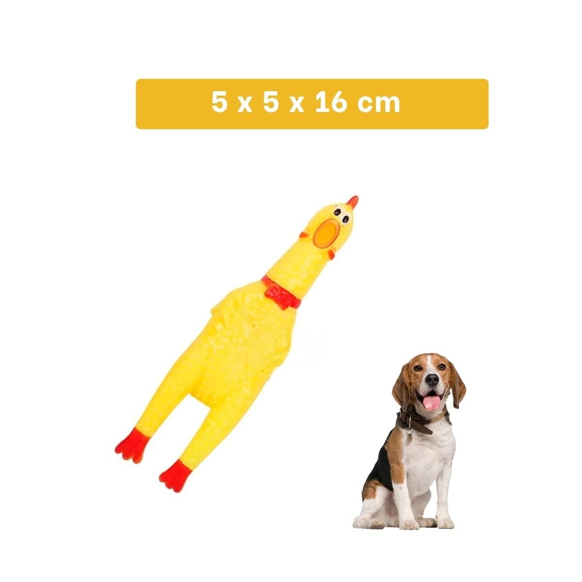 PACK6 ALTERNATIVA POLLO SONORO PARA PERRO TALLA S AMARILLO RESISTENTE PET Y+PAPEL REGALO - 4