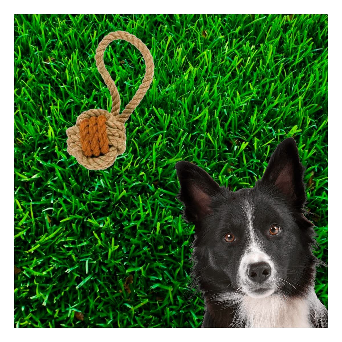 PACK2 ACCIONADOR SOGA CON PELOTA MOSTAZA PARA PERRO ACTIVO Y ENTRENAMIENTO - 5