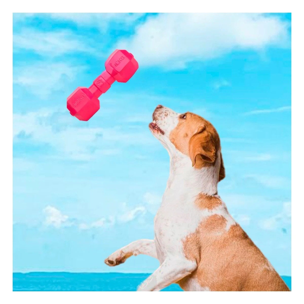 PACK6 ELEMENTO ACTIVO DE CAUCHO CON PESAS ROSADO PARA MASCOTA - 3