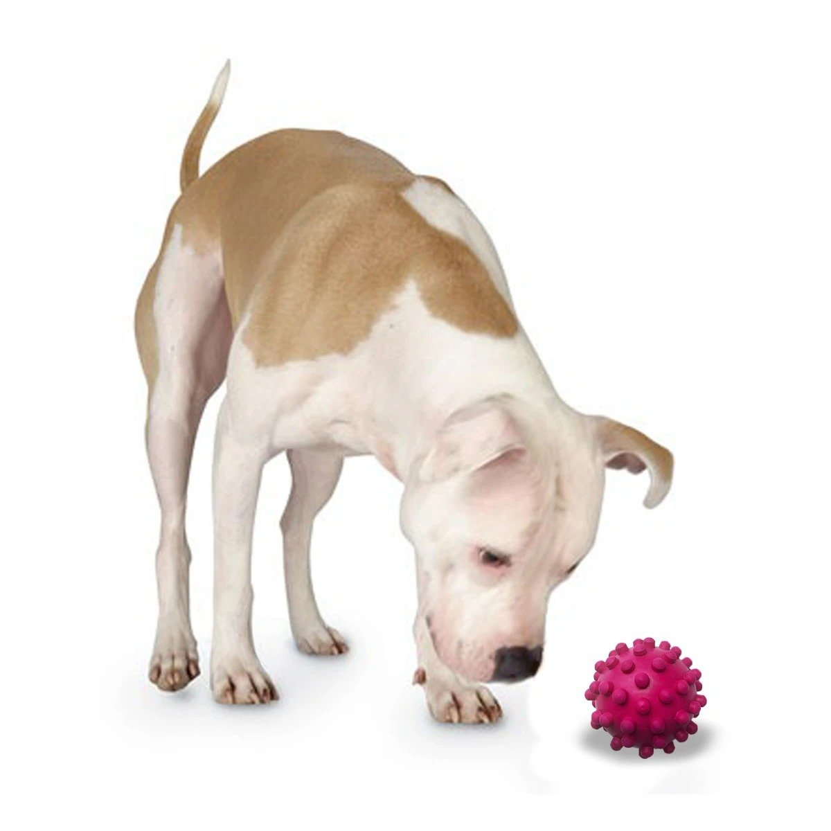 PACK6 PELOTA DE CAUCHO ROSADO GRANDE CON RELIEVE PARA MAYOR ENTRETENIMIENTO Y+REGALO STICKER - 2