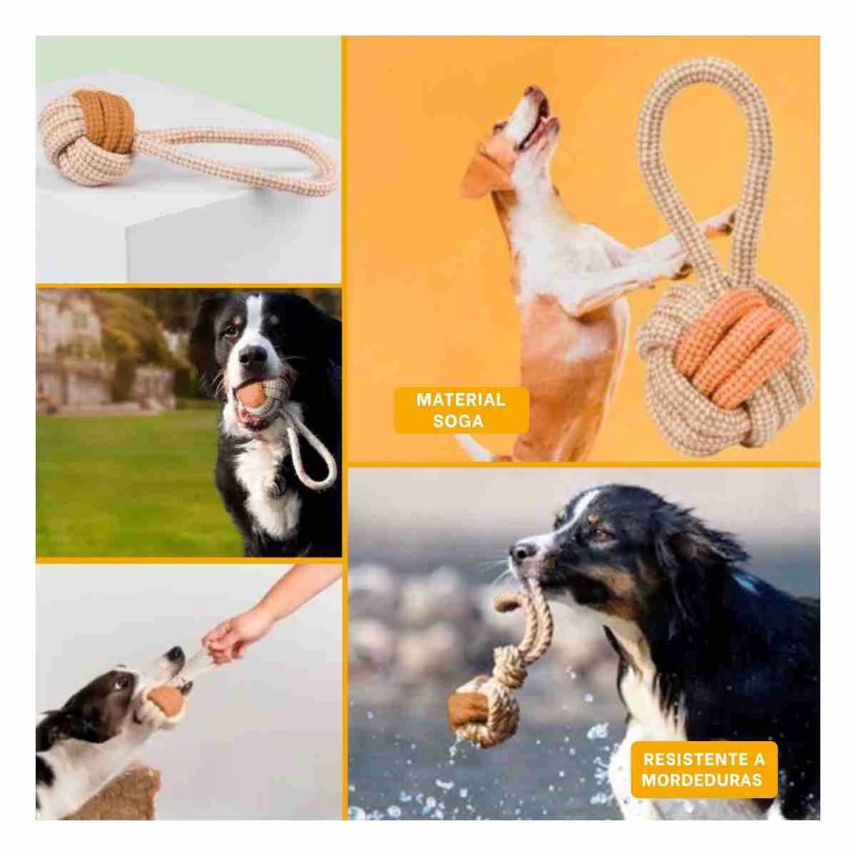 PACK6 RECREATIVO SOGA CON PELOTA DE SOGA MOSTAZA PARA PERRO FUERTE Y JUEGO Y+PAPEL REGALO - 3