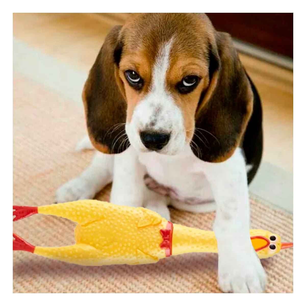 PACK12 GAMA POLLO SONORO AMARILLO TALLA L PARA PERRO GRANDE Y+PAPEL REGALO - 3