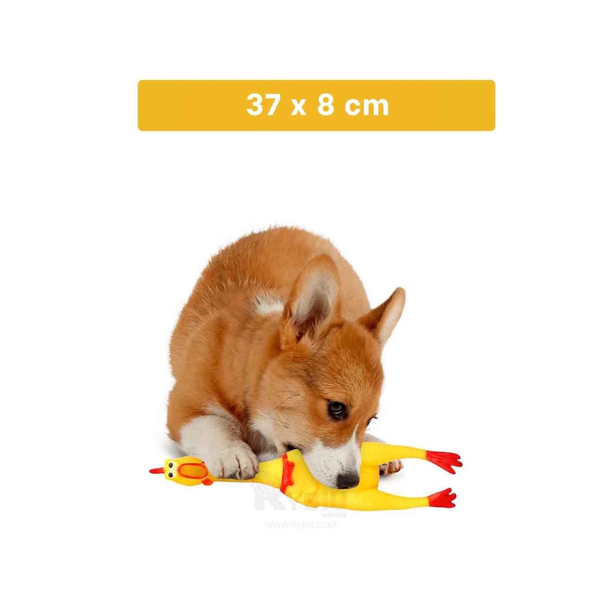 PACK12 GAMA POLLO SONORO AMARILLO TALLA L PARA PERRO GRANDE Y+PAPEL REGALO - 4