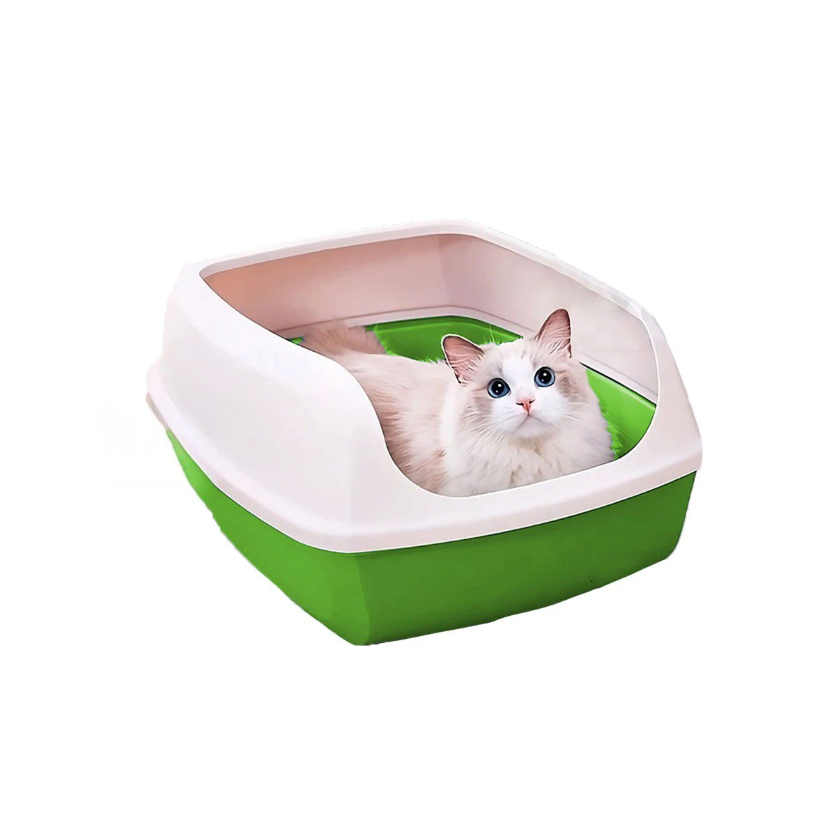 PACK4 ARENERA FUNCIONAL SEMICERRADA VERDE PARA GATOS PARA INTERIOR Y+PAPEL REGALO - 3
