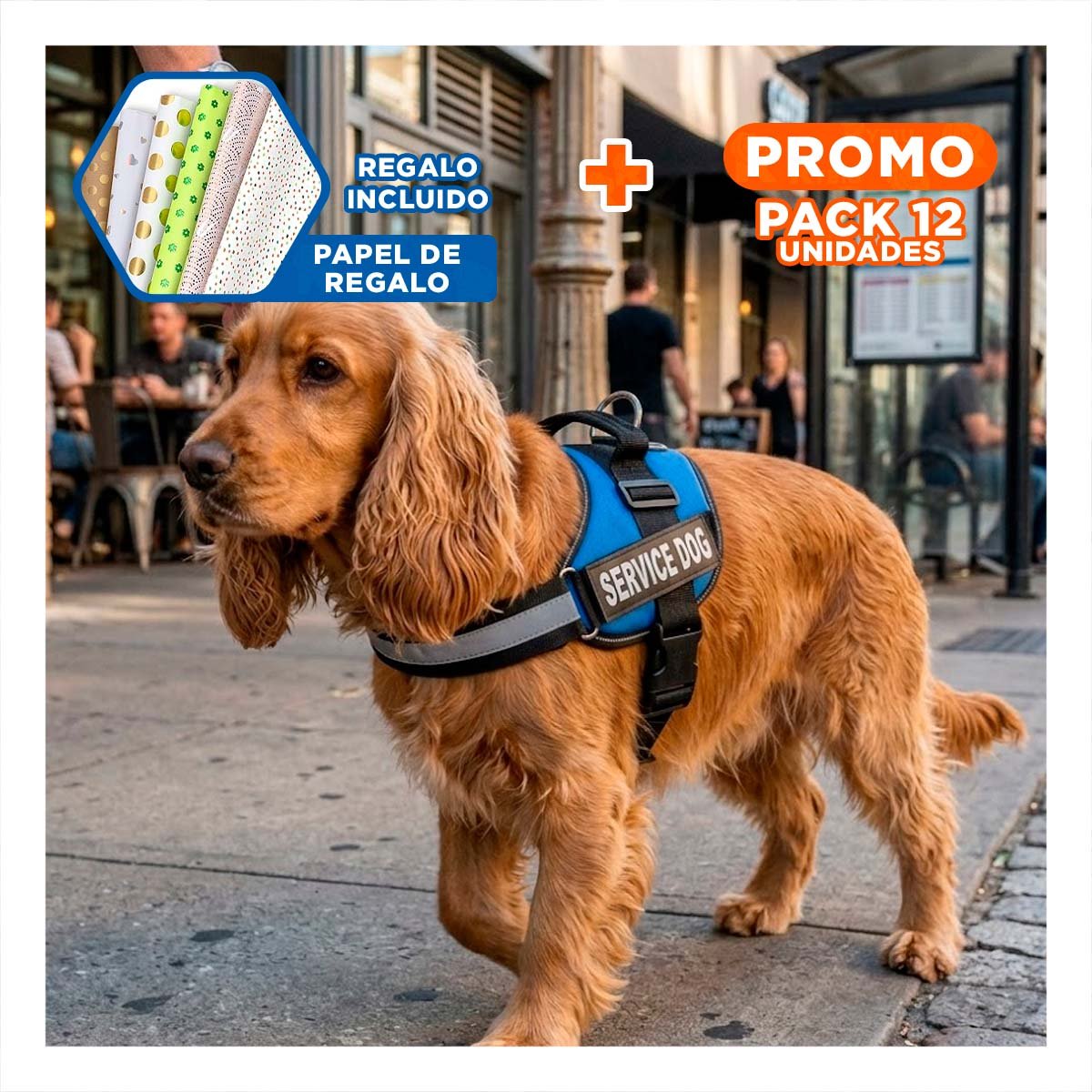 PACK12 CHALECO RESISTENTE PARA PERRO DE SERVICIO TALLA M AZUL Y+PAPEL REGALO - 1