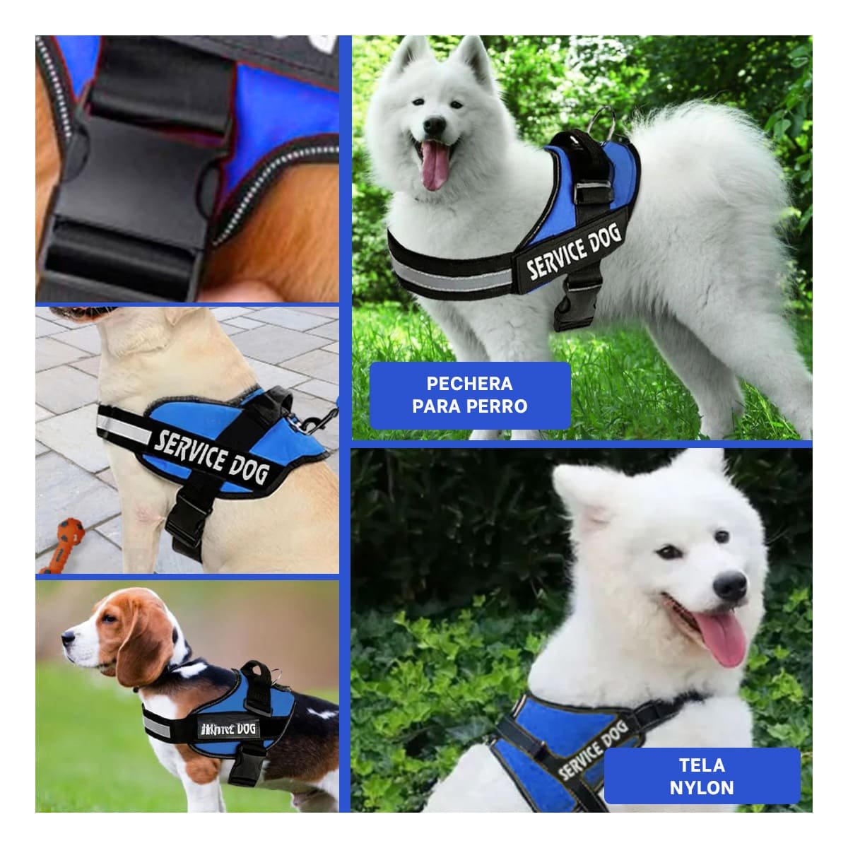 PACK12 CHALECO RESISTENTE PARA PERRO DE SERVICIO TALLA M AZUL Y+PAPEL REGALO - 2