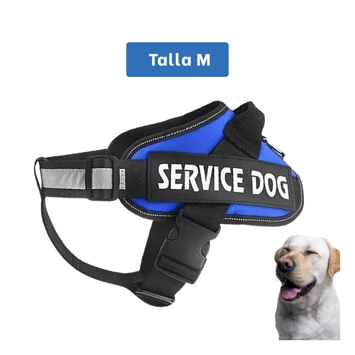 PACK12 CHALECO RESISTENTE PARA PERRO DE SERVICIO TALLA M AZUL Y+PAPEL REGALO - 4