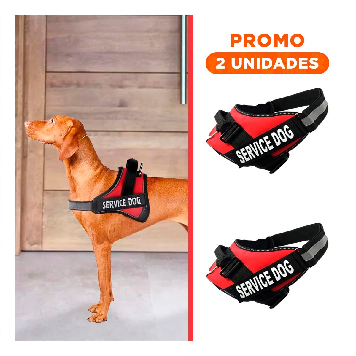 PACK2 CINTURON PROFESIONAL PARA PERRO DE SERVICIO TALLA L ROJO - 1