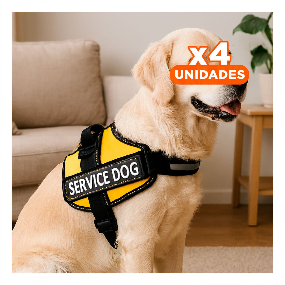 PACK4 ARNES AJUSTABLE PARA PERRO DE SERVICIO TALLA M AMARILLO - 1