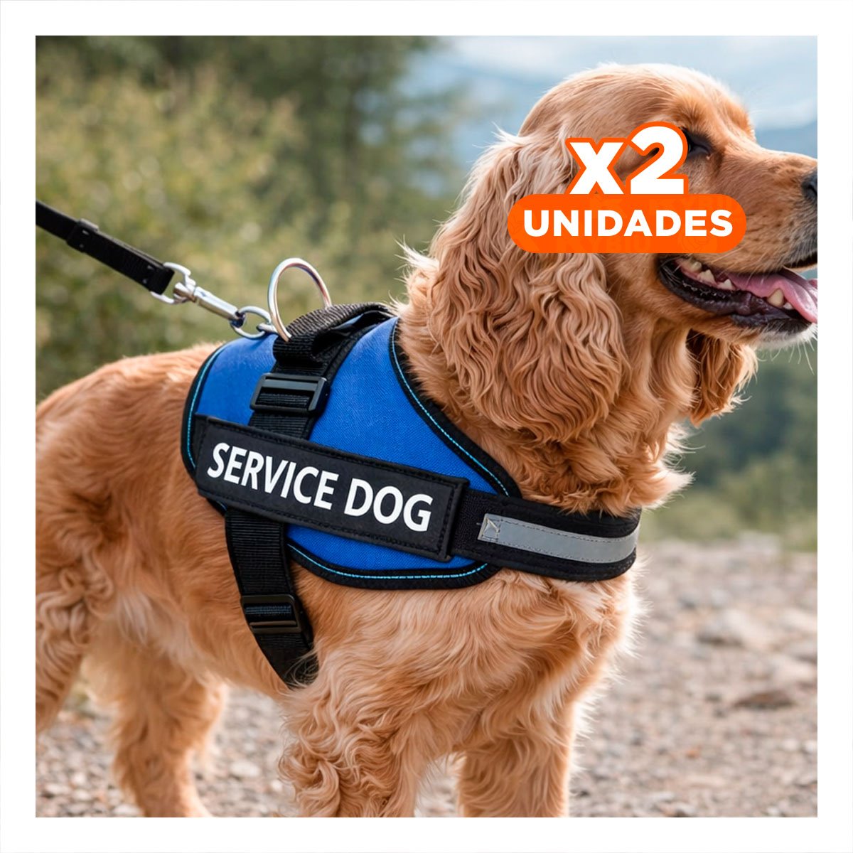 PACK2 CINTURON DE TRABAJO PARA PERRO TALLA M COLOR AZUL Y+REGALO STICKER - 1