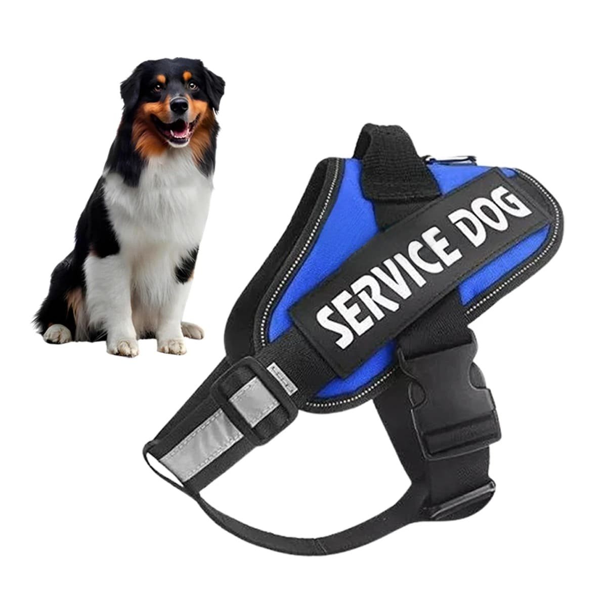 PACK2 CINTURON DE TRABAJO PARA PERRO TALLA M COLOR AZUL Y+REGALO STICKER - 2