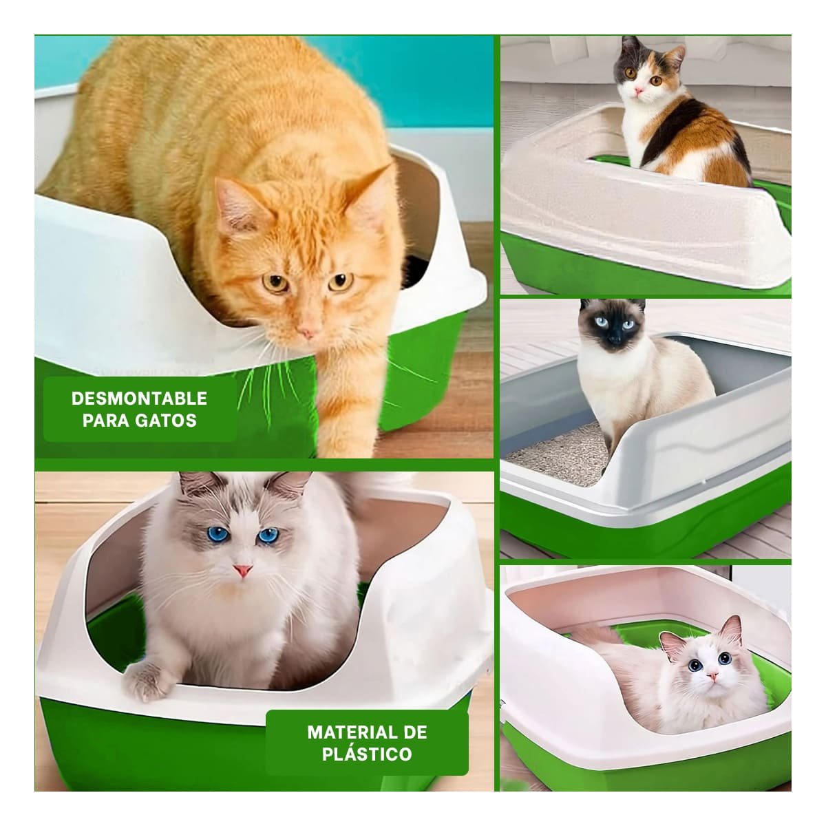 PACK2 BANDEJA CERRADA VERDE PARA GATOS CON DISENO FUNCIONAL Y+PAPEL REGALO - 3