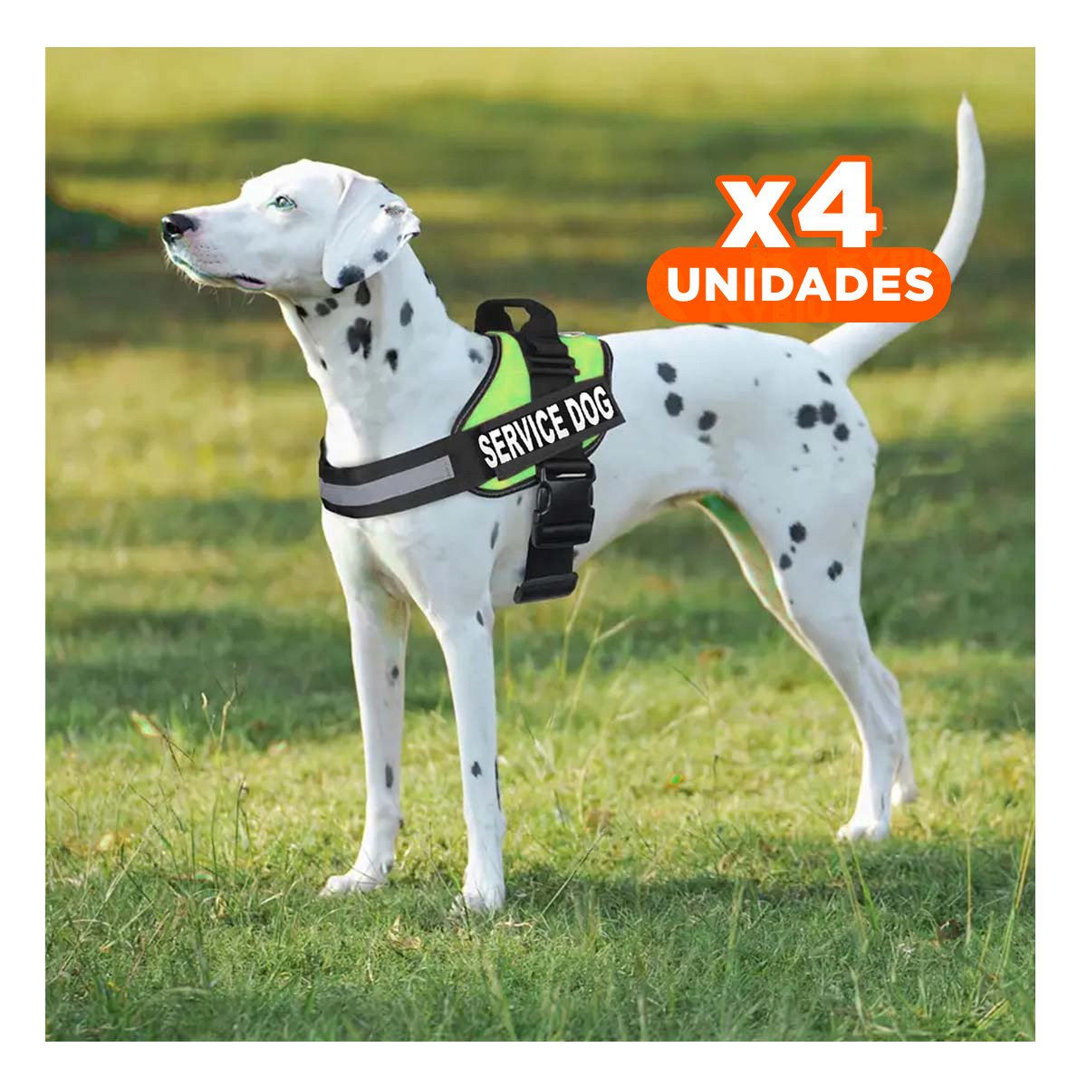 PACK4 CHALECO DE TRABAJO PARA PERRO TALLA L COLOR VERDE - 1