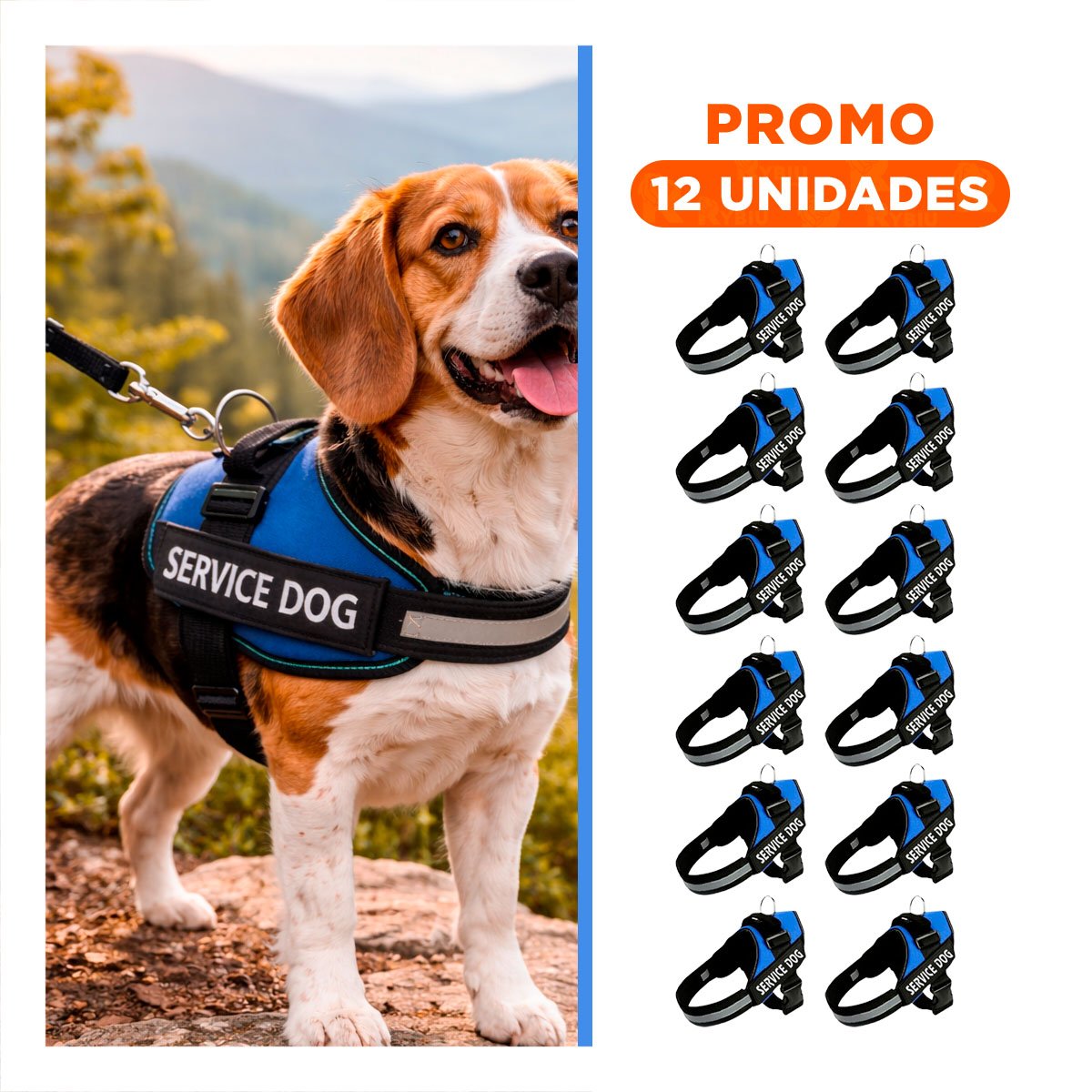 PACK12 CORREA RESISTENTE TIPO PECHERA TALLA M COLOR AZUL Y+REGALO STICKER - 1