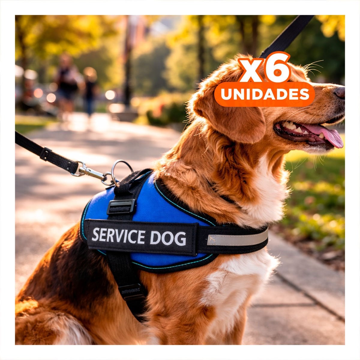 PACK6 ARNES RESISTENTE PARA PERRO DE SERVICIO TALLA M AZUL Y+REGALO STICKER - 1