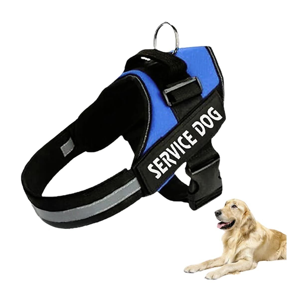 PACK6 ARNES RESISTENTE PARA PERRO DE SERVICIO TALLA M AZUL Y+REGALO STICKER - 2
