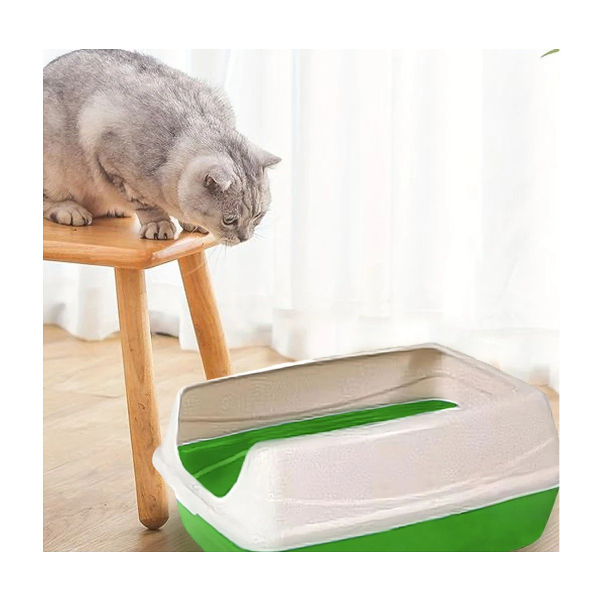 PACK2 ARENERO COMPACTO SEMICERRADO VERDE PARA GATOS CON ENTRADA COMODA - 5