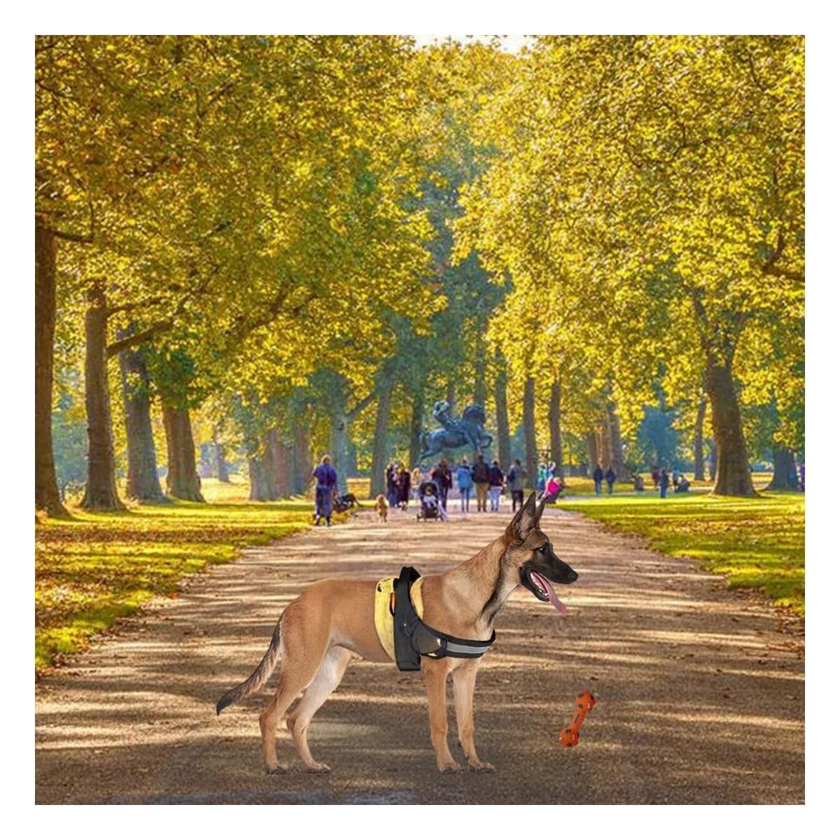 PACK4 CHALECO AJUSTABLE PARA PERRO DE SERVICIO TALLA M AMARILLO Y+REGALO STICKER - 3