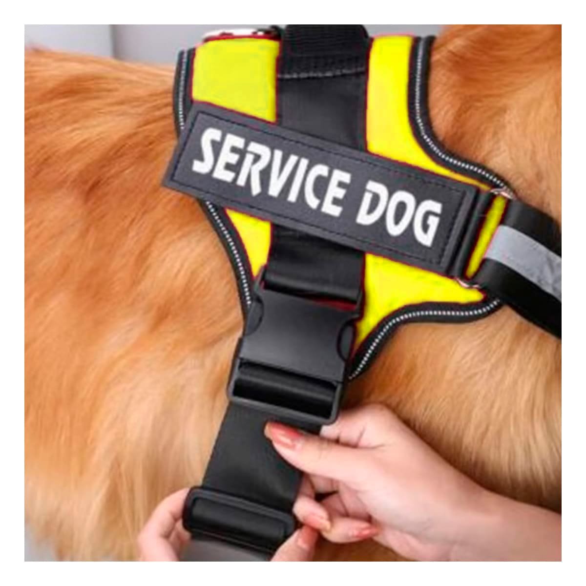 PACK2 CHALECO DE TRABAJO PARA PERRO TALLA M COLOR AMARILLO - 5