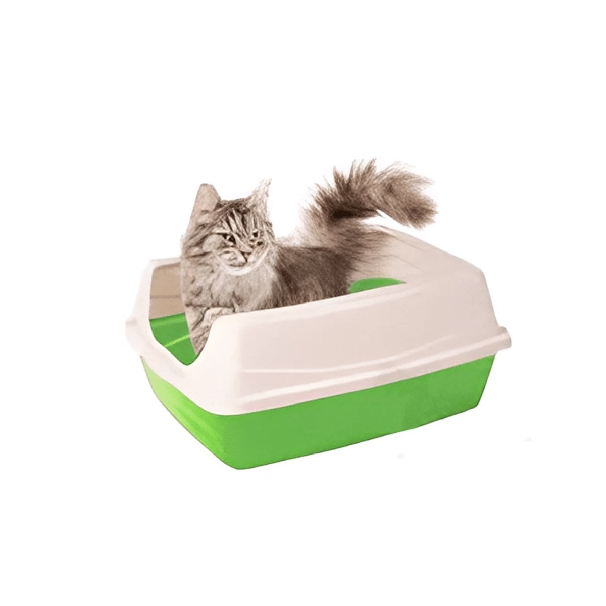 PACK6 SISTEMA HIGIENICO VERDE PARA GATOS CON ENTRADA FRONTAL Y+REGALO STICKER - 2