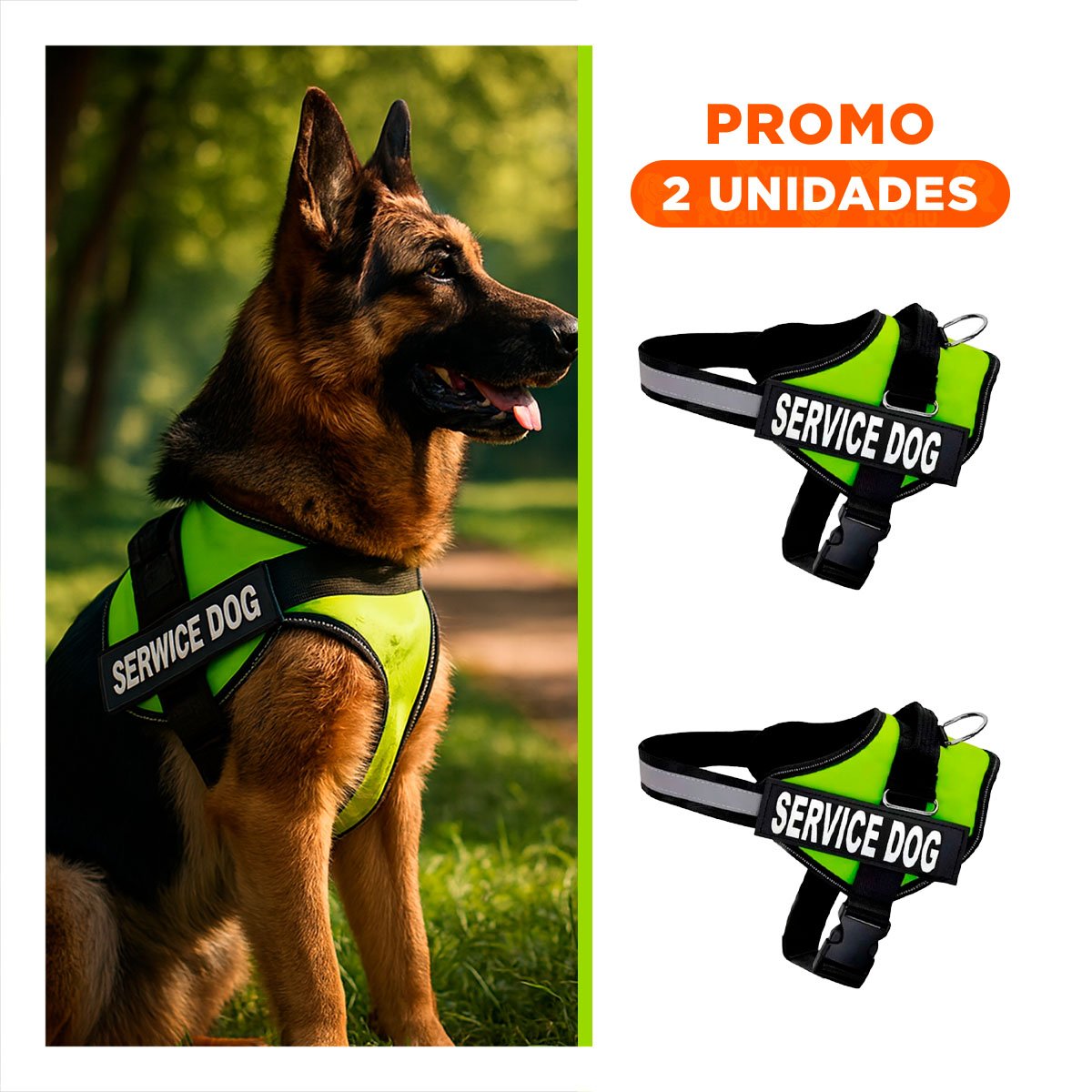 PACK2 CINTURON PROFESIONAL PARA PERRO DE SERVICIO TALLA L VERDE - 1