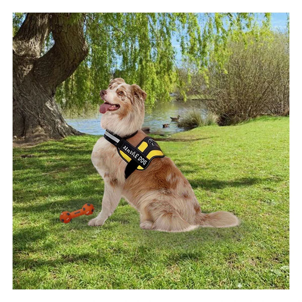 PACK12 PECHERA RESISTENTE PARA PERRO DE SERVICIO TALLA M AMARILLO - 3
