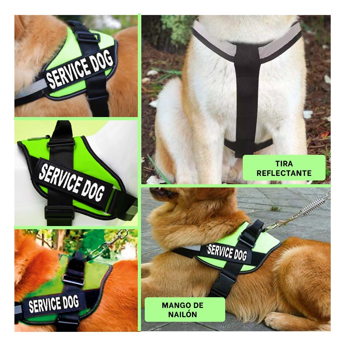 PACK4 CINTURON DE TRABAJO PARA PERRO TALLA L COLOR VERDE Y+REGALO STICKER - 2
