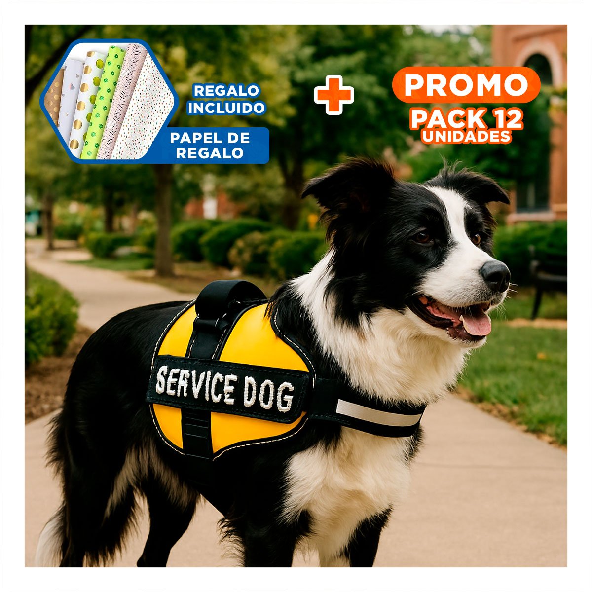PACK12 CHALECO RESISTENTE PARA PERRO DE SERVICIO TALLA M AMARILLO Y+PAPEL REGALO - 1