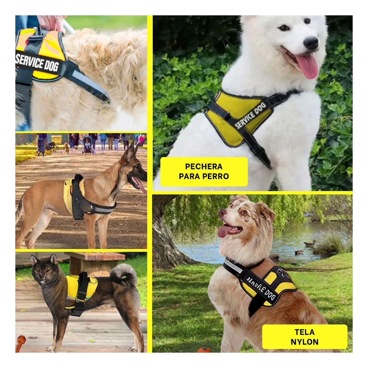 PACK12 CHALECO RESISTENTE PARA PERRO DE SERVICIO TALLA M AMARILLO Y+PAPEL REGALO - 2