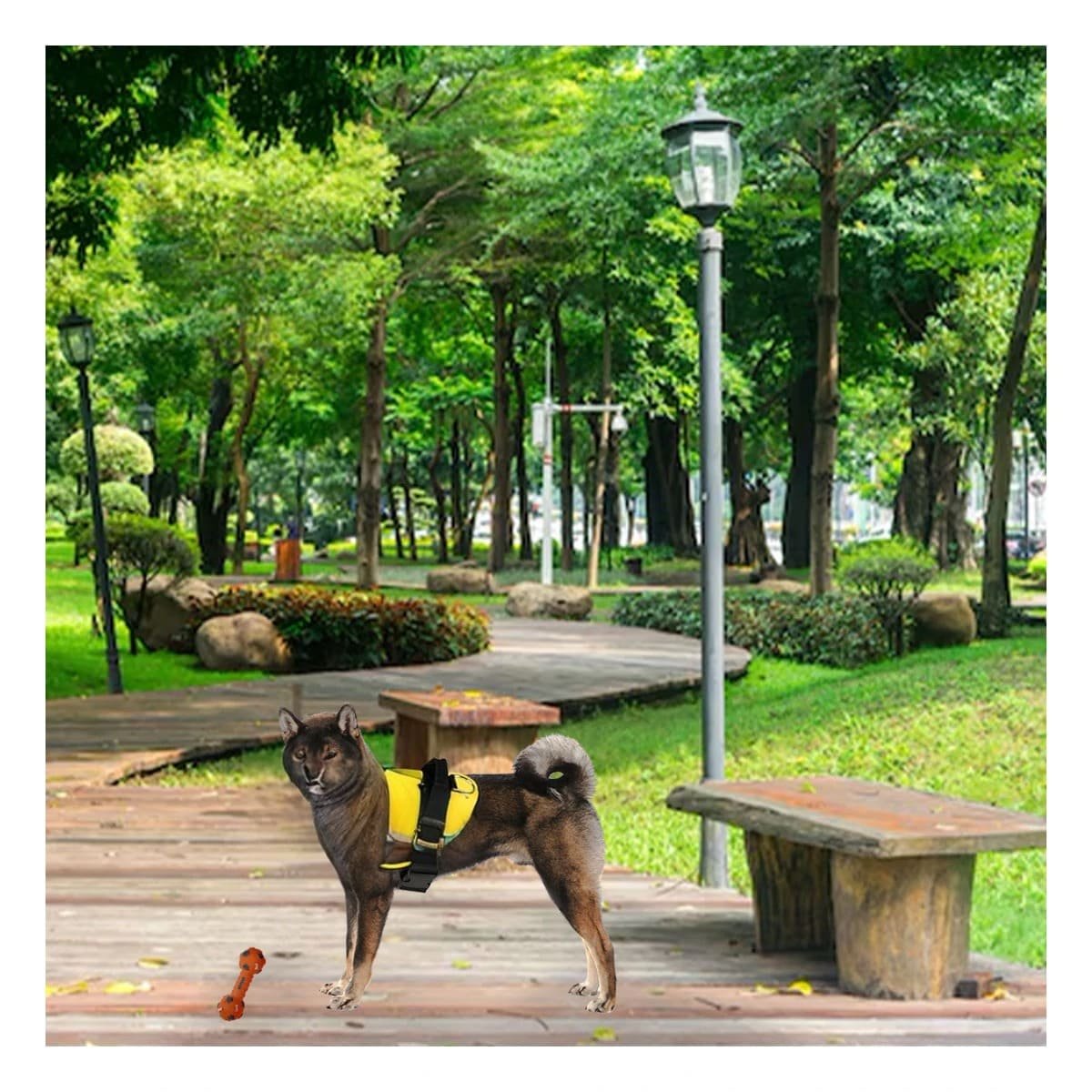 PACK12 CHALECO RESISTENTE PARA PERRO DE SERVICIO TALLA M AMARILLO Y+PAPEL REGALO - 5