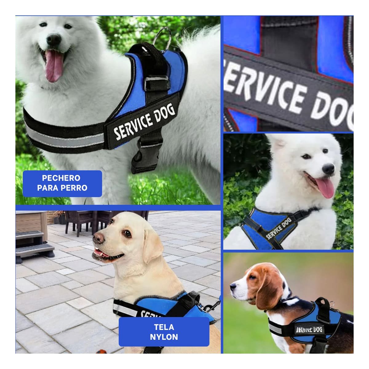 PACK4 CHALECO AJUSTABLE PARA PERRO DE SERVICIO TALLA M AZUL Y+REGALO STICKER - 2